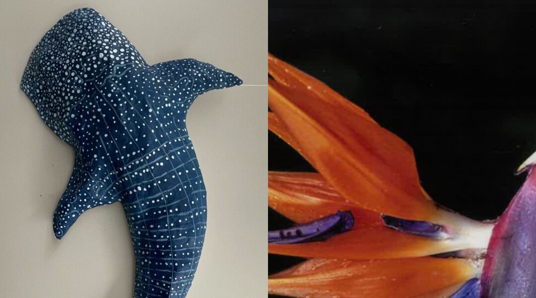 On the right a 3D model of a whale shark and on the left a pink and purple flower that's bulb looks like a hummingbird with two orange blossoms sprouting from its top that look like wings on a black background