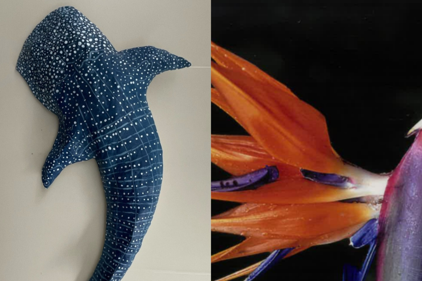 A 3D model of a whale shark on the left and on the right a pink and purple flower that's bulb looks like a hummingbird with two orange blossoms sprouting from its top that look like wings on a black background